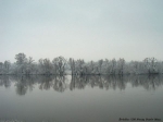 Rzeka Narew zim - rdo UM Nowy Dwr Mazowiecki