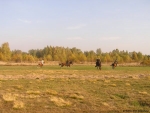 Gmina Czosnów Gmina Czosnów