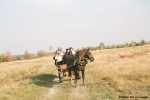 Gmina Czosnów Gmina Czosnów