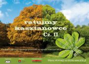 Ratujmy kasztanowce z SRTM