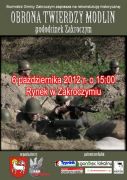Rekonstrukcja - Obrona Twierdzy Modlin pododcinek Zakroczym 